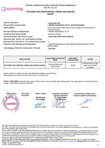 Clooe Baby Shampoo Certificate 2